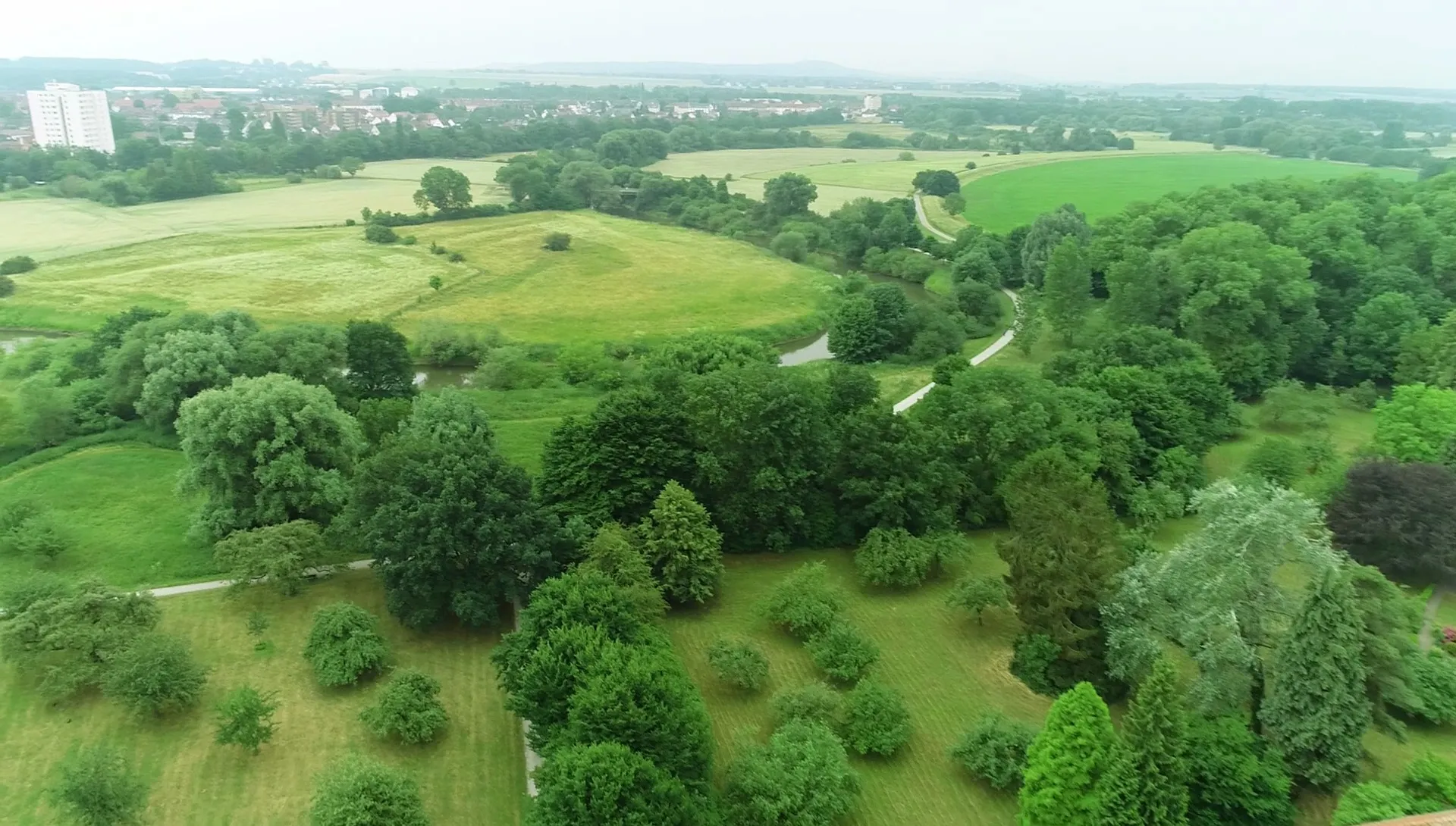 Gruppe von Menschen pflanzt Bäume als Symbol für gemeinsamen Bodenschutz
