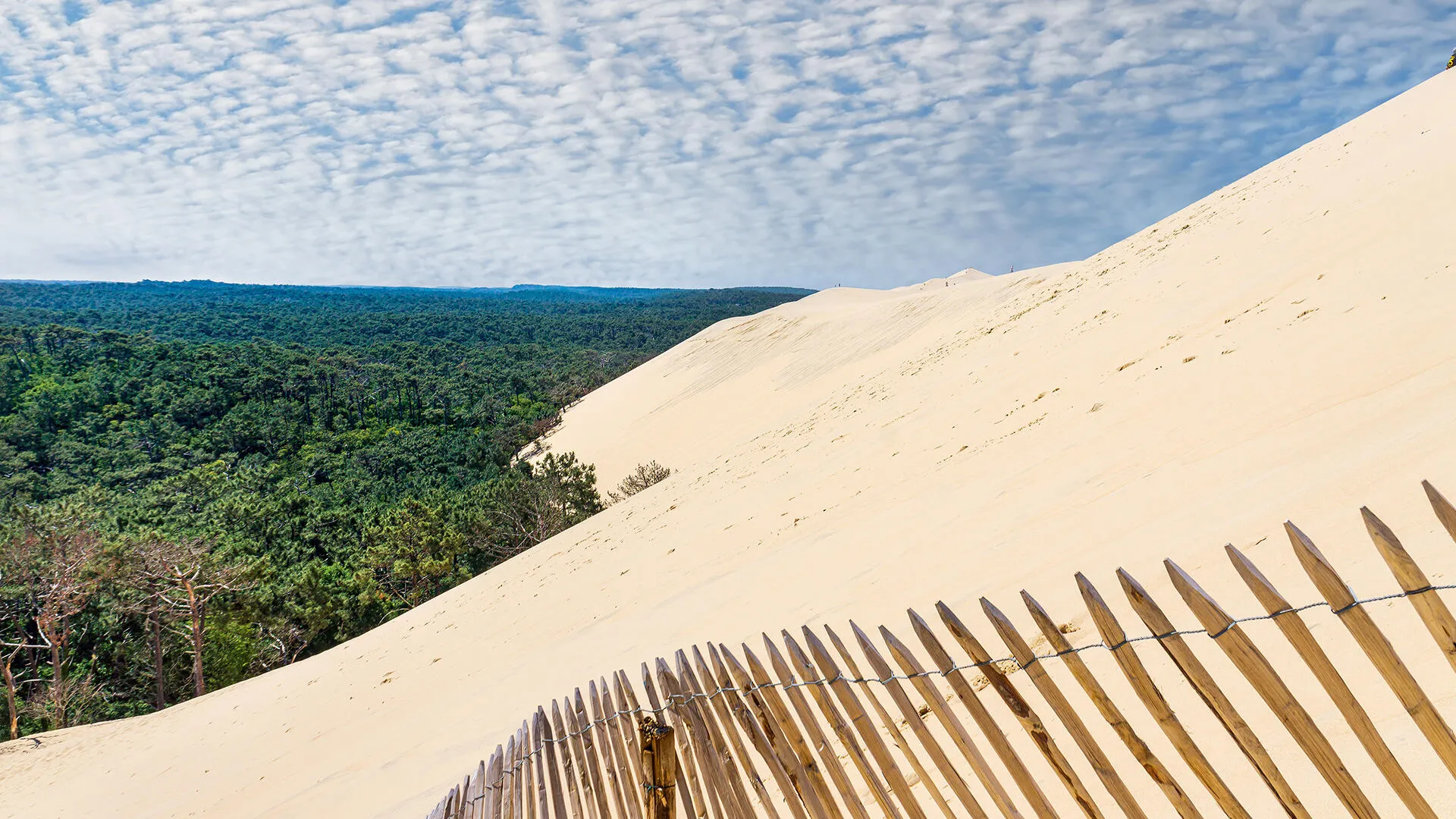 Die Dune du Pilat ist die höchste Wanderdüne Europas. Sie befindet sich an der Atlantikküste beim Städtchen Arcachon und ist mit dem Zug zu erreichen.