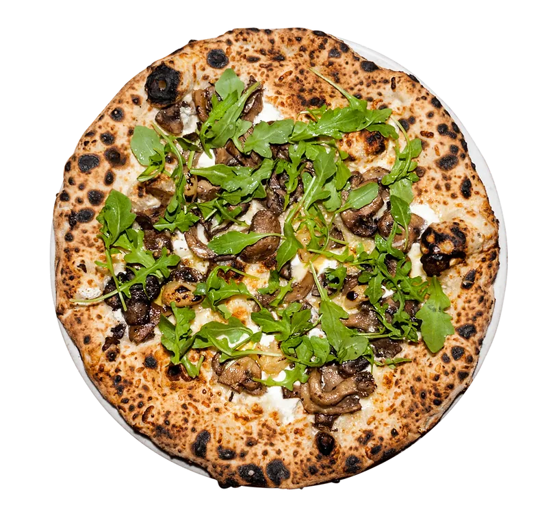 Eine detailreiche Aufnahme von hausgemachten Pasta-Gerichten in einer italienischen Küche