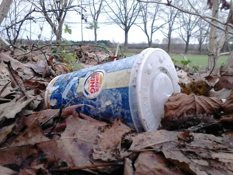 Fast-Food-Verpackung im Wald
