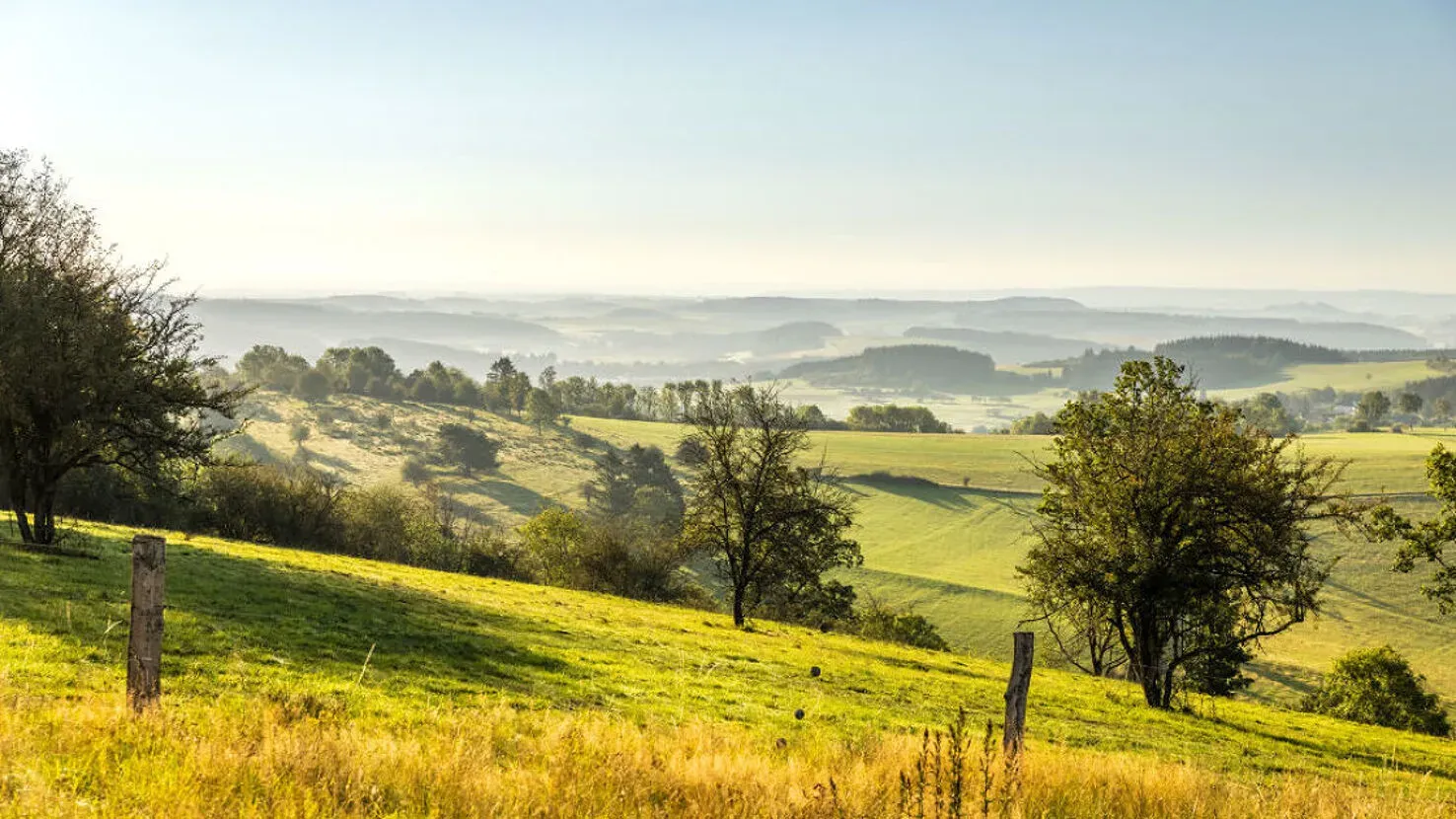 Natur- und Geopark Vulkaneifel