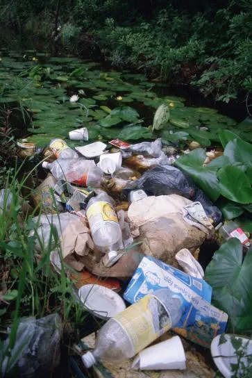 Plastikmüll unter Wasserlilien