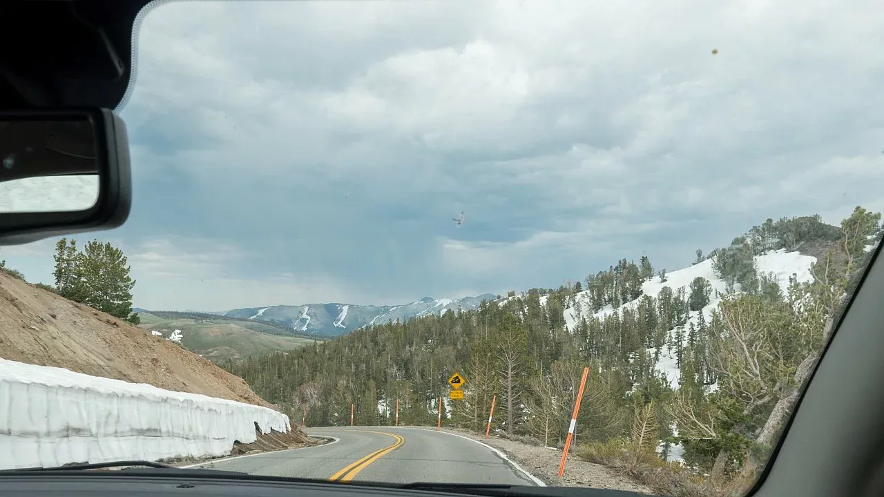 Sonora Pass