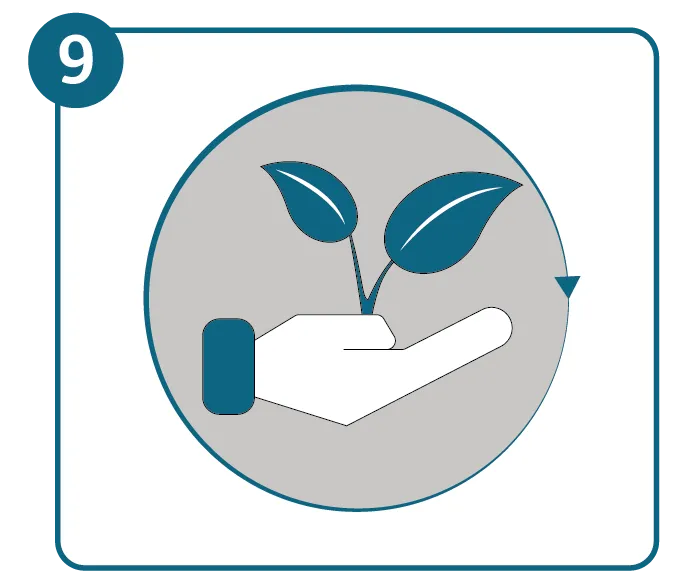 Umweltschutz im Büro Schritt 9: Nachhaltige Projekte unterstützen