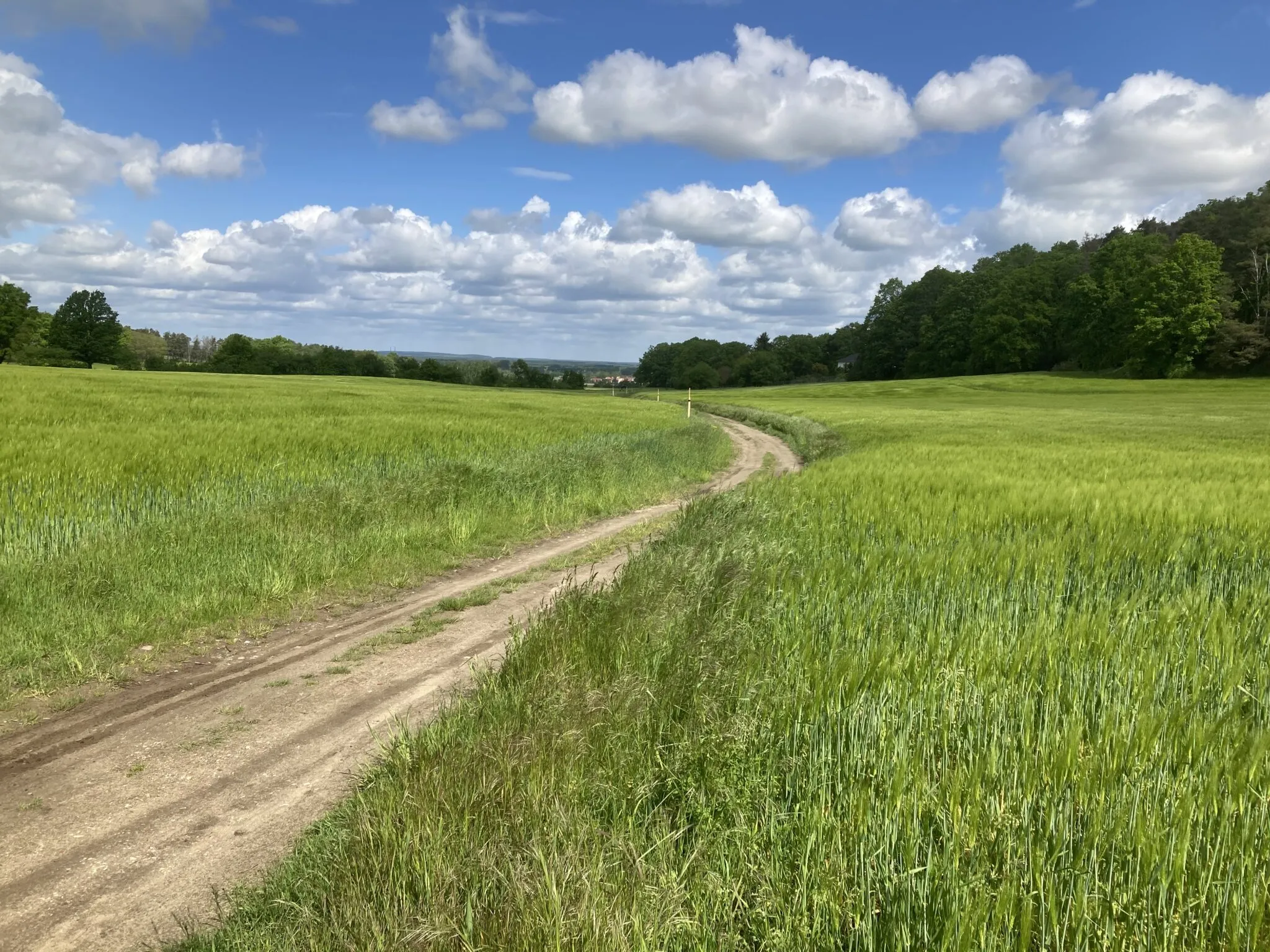 Verpflegungspunkt mit regionalen Speisen und Getränken
