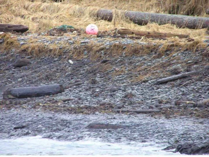 Verschmutztes Seeufer mit Müll