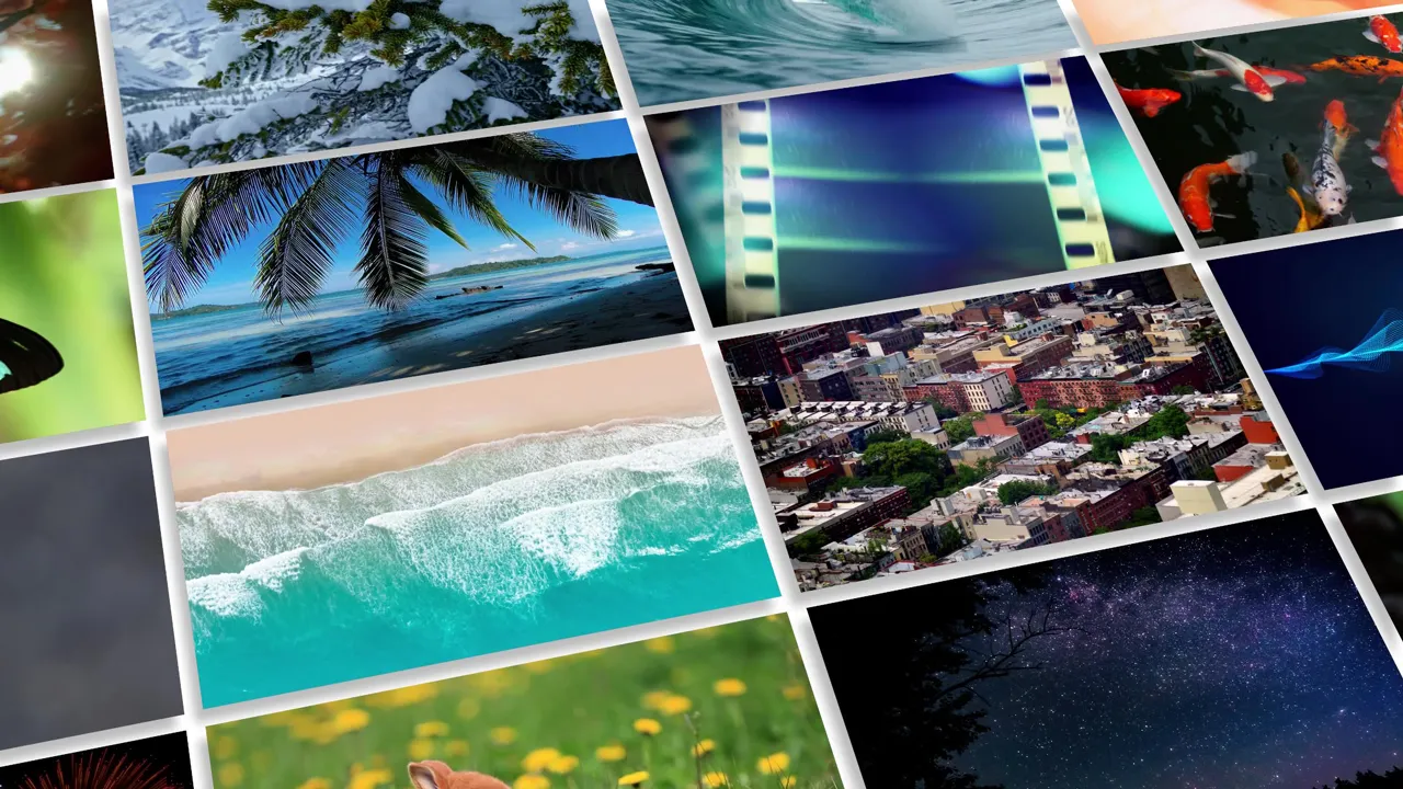 Mit Adobe Photoshop Elements erstelltes Bild.