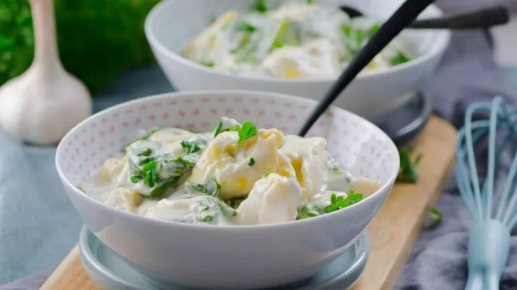 15 Minuten Tortellini in cremiger Käsesauce