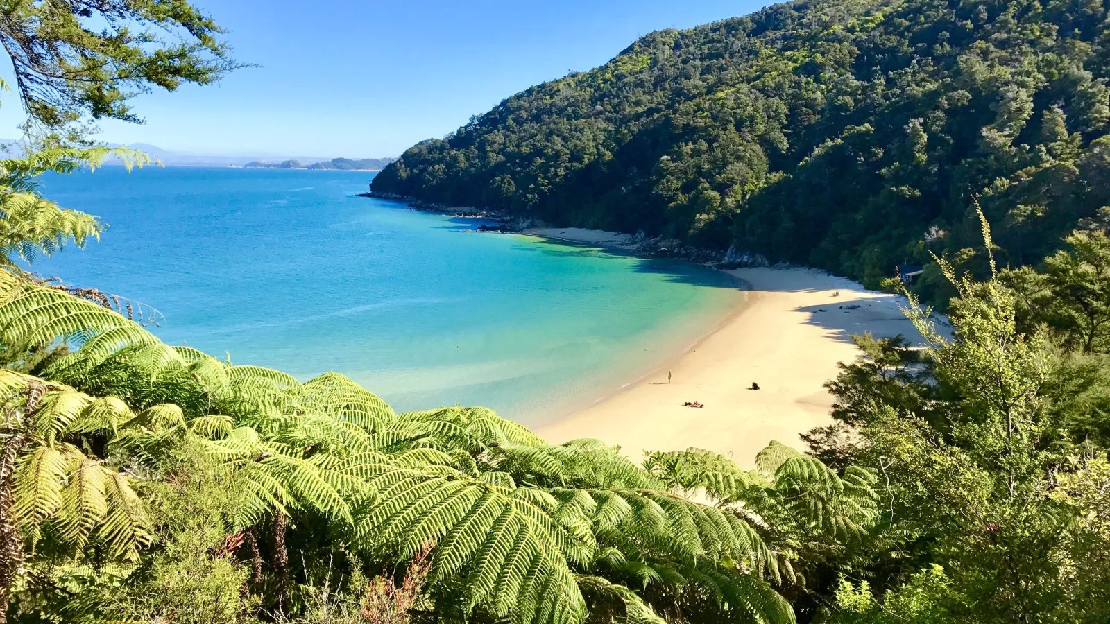 Abel Tasman Nationalpark Neuseeland Küstenparadies