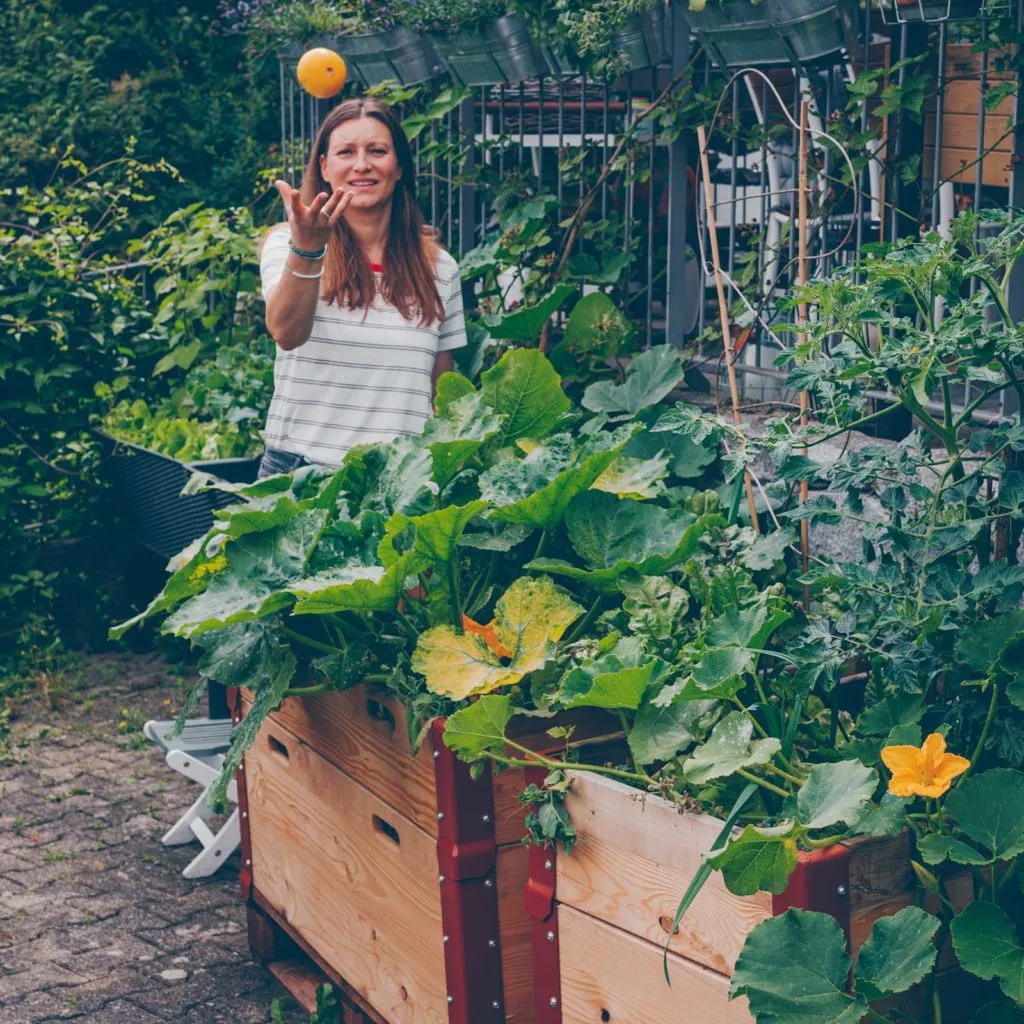 Abendstimmung im Urban Garden, das Hochbeet in sanftem Licht