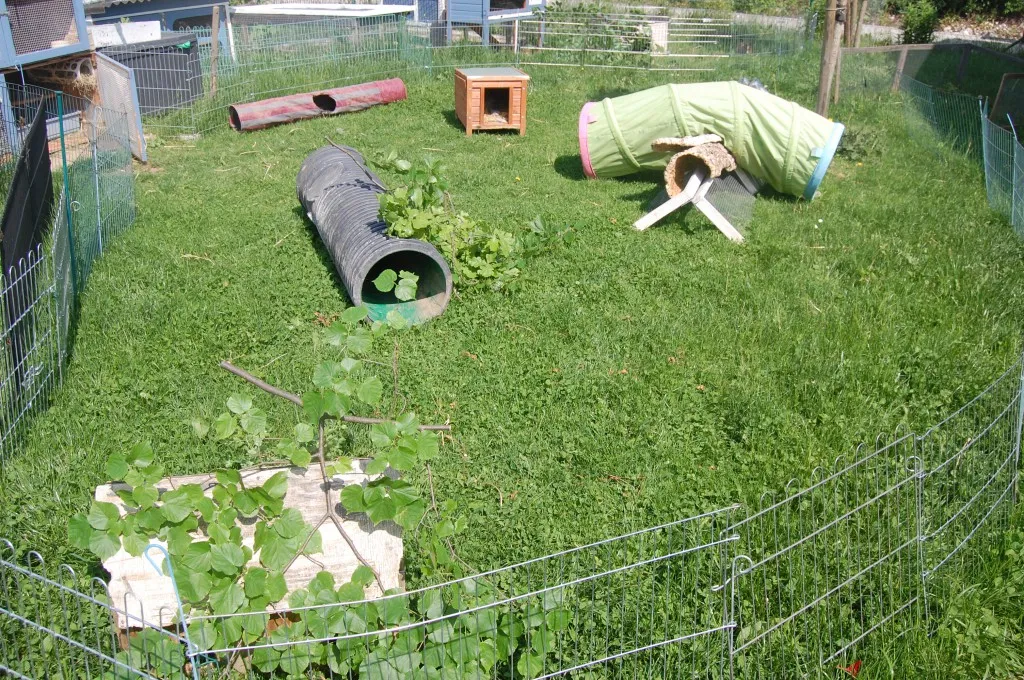 Abenteuerlicher Spielplatz im Kaninchenauslauf mit Tunneln und Verstecken, der die Hasen im Garten beschäftigt