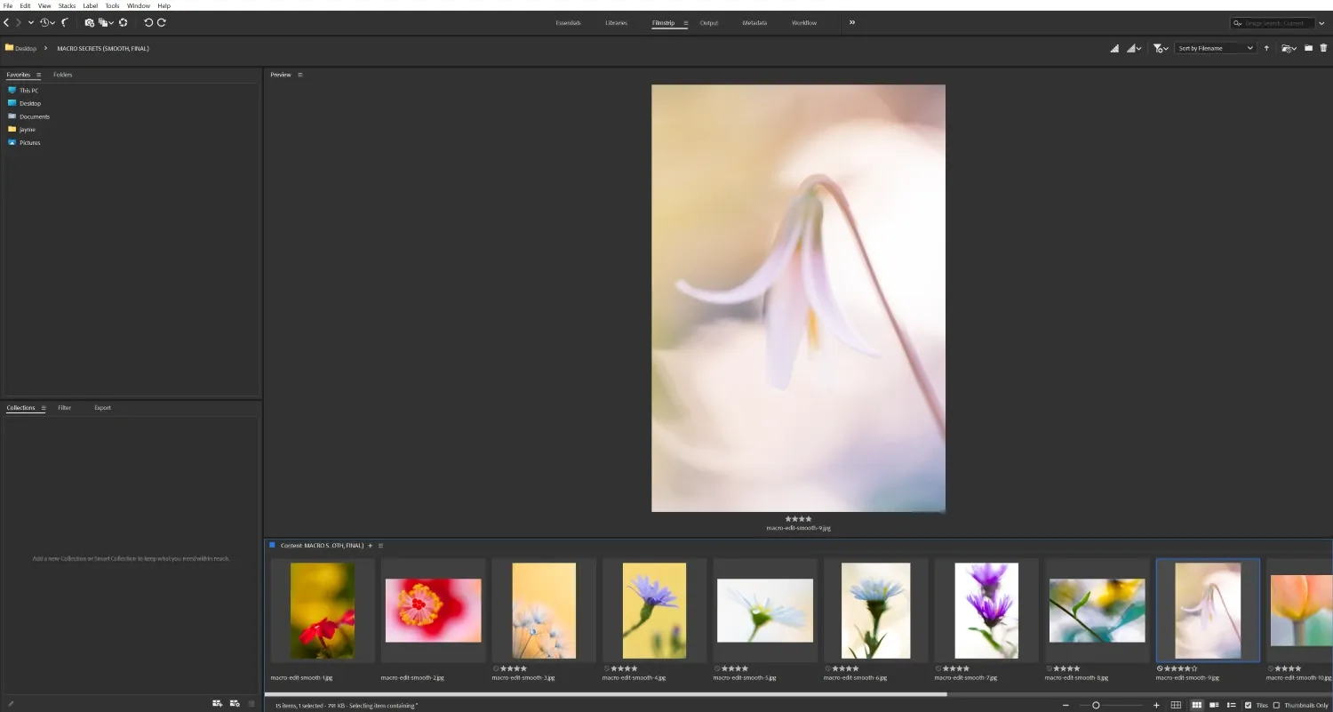 Adobe Bridge loupe view