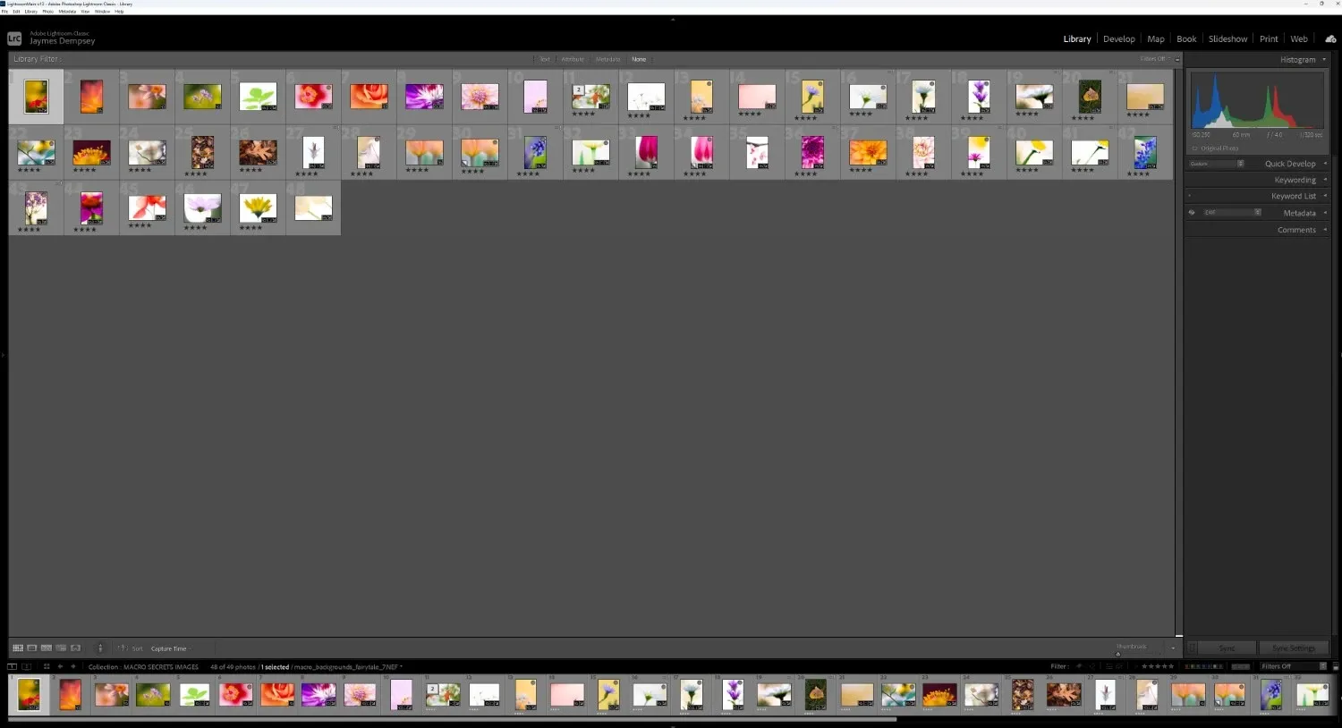 Adobe Lightroom Classic main layout of the Library module