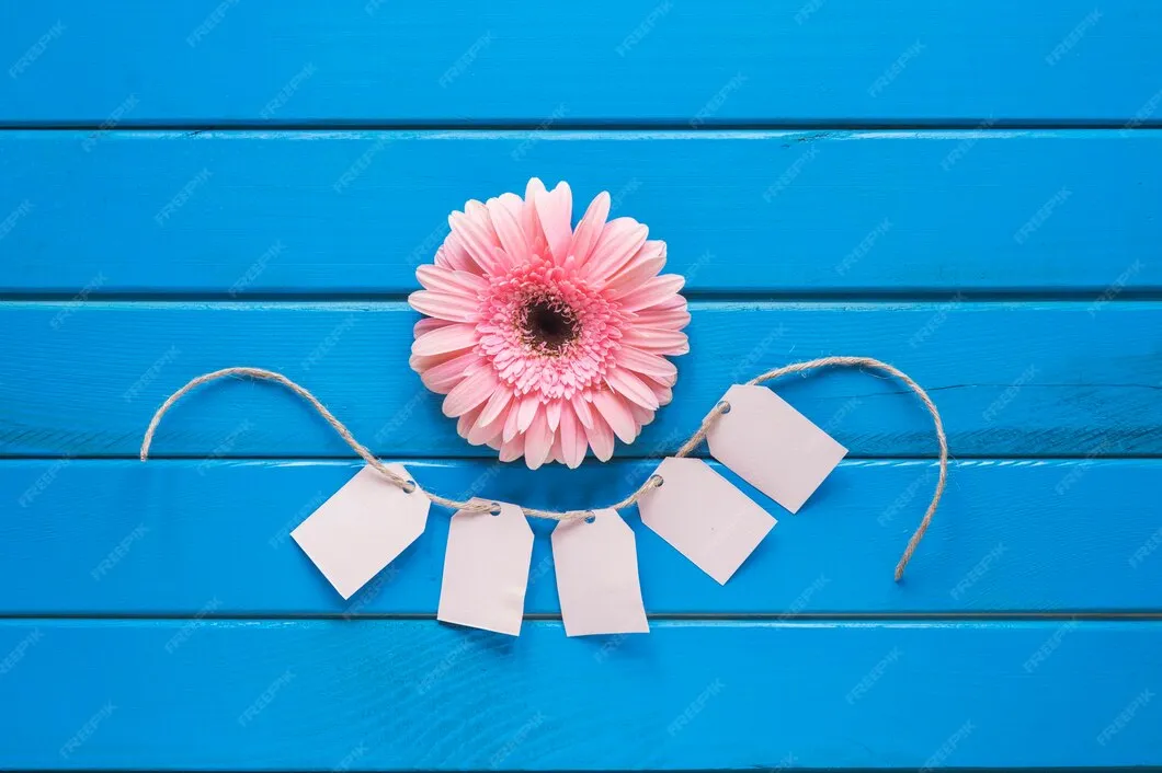 Aktualisierung des Microsoft Edge Browsers