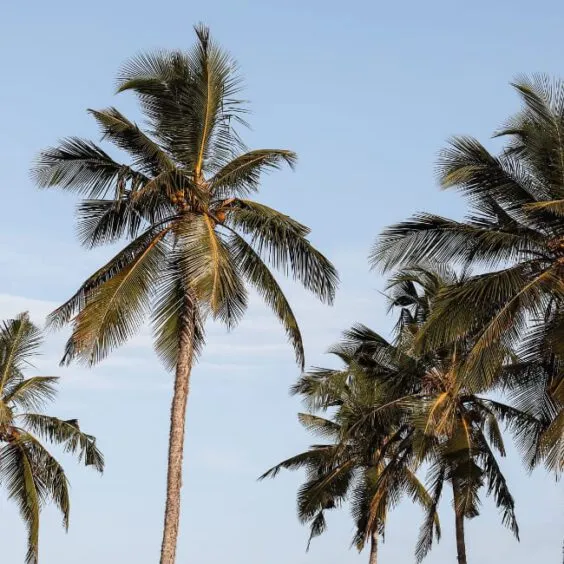 Allgemeine Reisetipps und Weltreise-Informationen