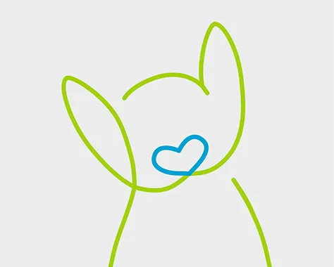 Allgemeines Suchplakat für eine vermisste Katze, exemplarisch für Bagheera in Saarbrücken