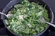 Angedünsteter frischer Spinat wird unter die cremige Sauce gemischt, bevor er in die Auflaufform gegeben wird.