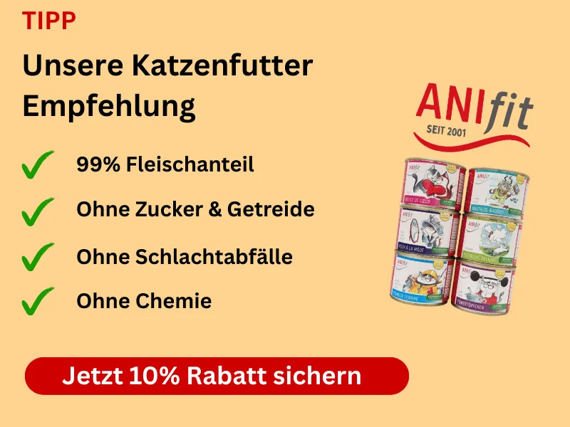 ANIfit Katzenfutter Empfehlung Banner für hochwertiges Nassfutter
