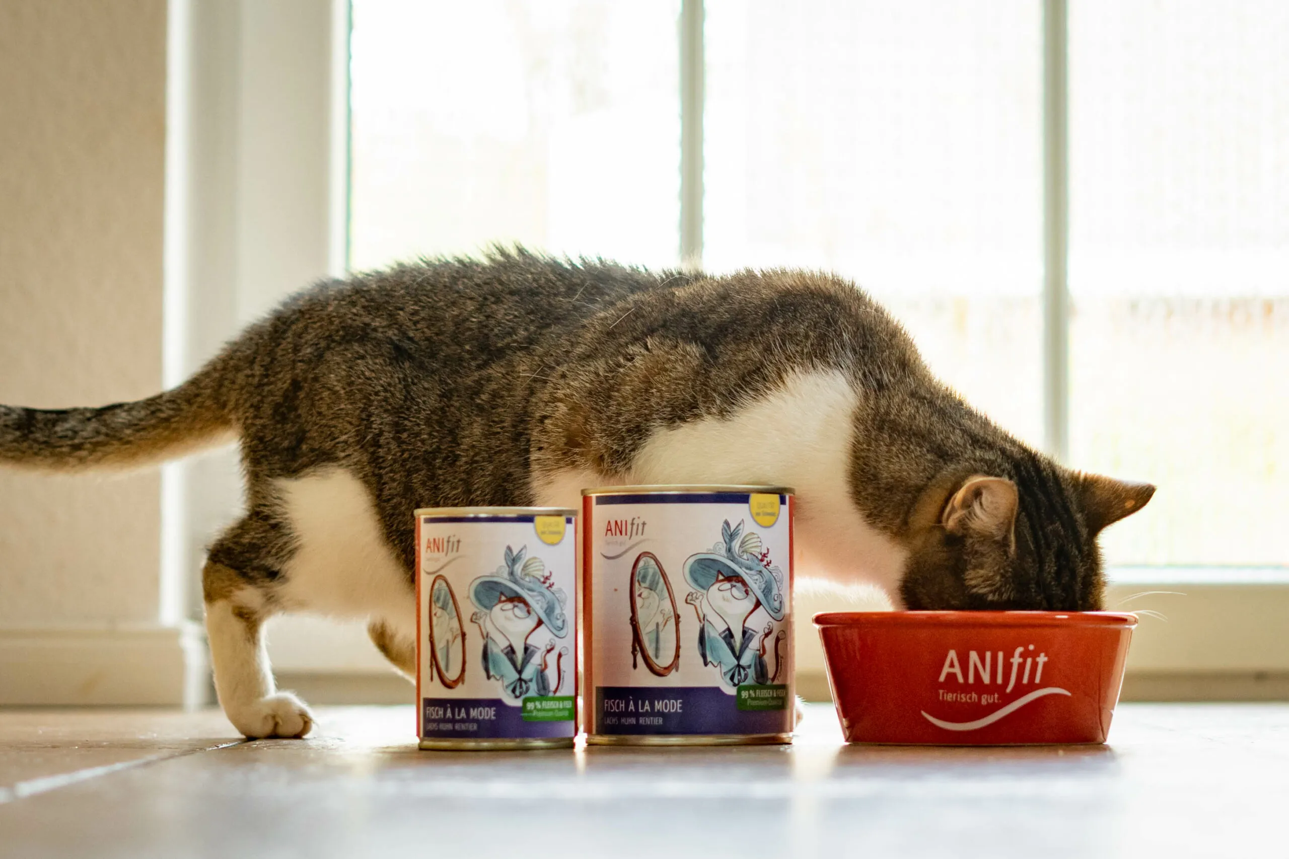 ANIfit Katzenfutter – Mein Testsieger für Katzenfutter mit hohem Fleischanteil