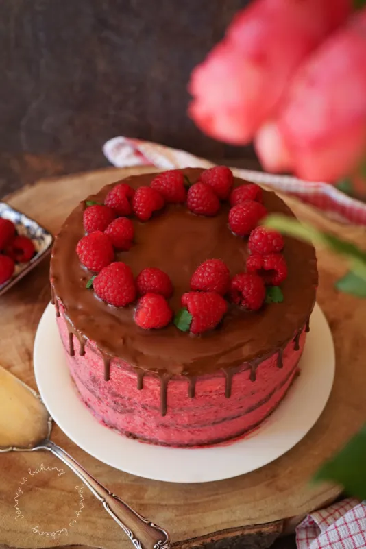 Anschnitt einer köstlichen Schoko-Torte mit Himbeercreme