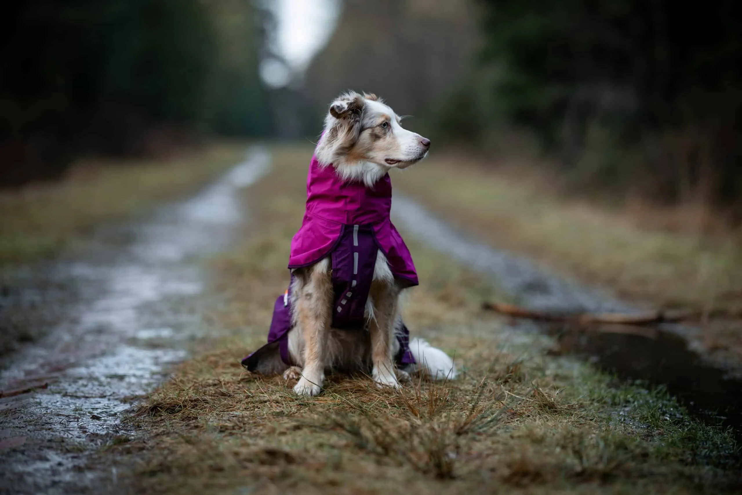 Ansicht von oben auf den Non-stop dogwear Fjord Raincoat