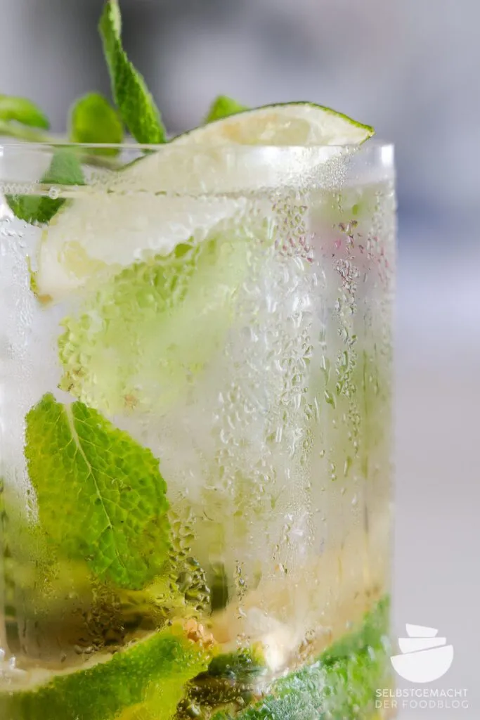 Ansprechend dekorierter Virgin Mojito mit Limette und Minze