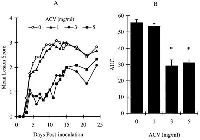 Antivirale Wirkung von ACV im Trinkwasser gegen HSV-1 PAAr5-Infektion. Die Tiere wurden kutan mit 107 PFU/Stelle inokuliert, wie in Materialen und Methoden beschrieben. ACV wurde im Trinkwasser mit 0, 1, 3 und 5 mg/ml gegeben.