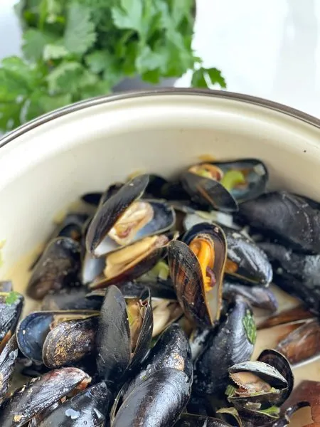 Appetitlich angerichtete Miesmuscheln in Weißwein mit Zitrone und Petersilie