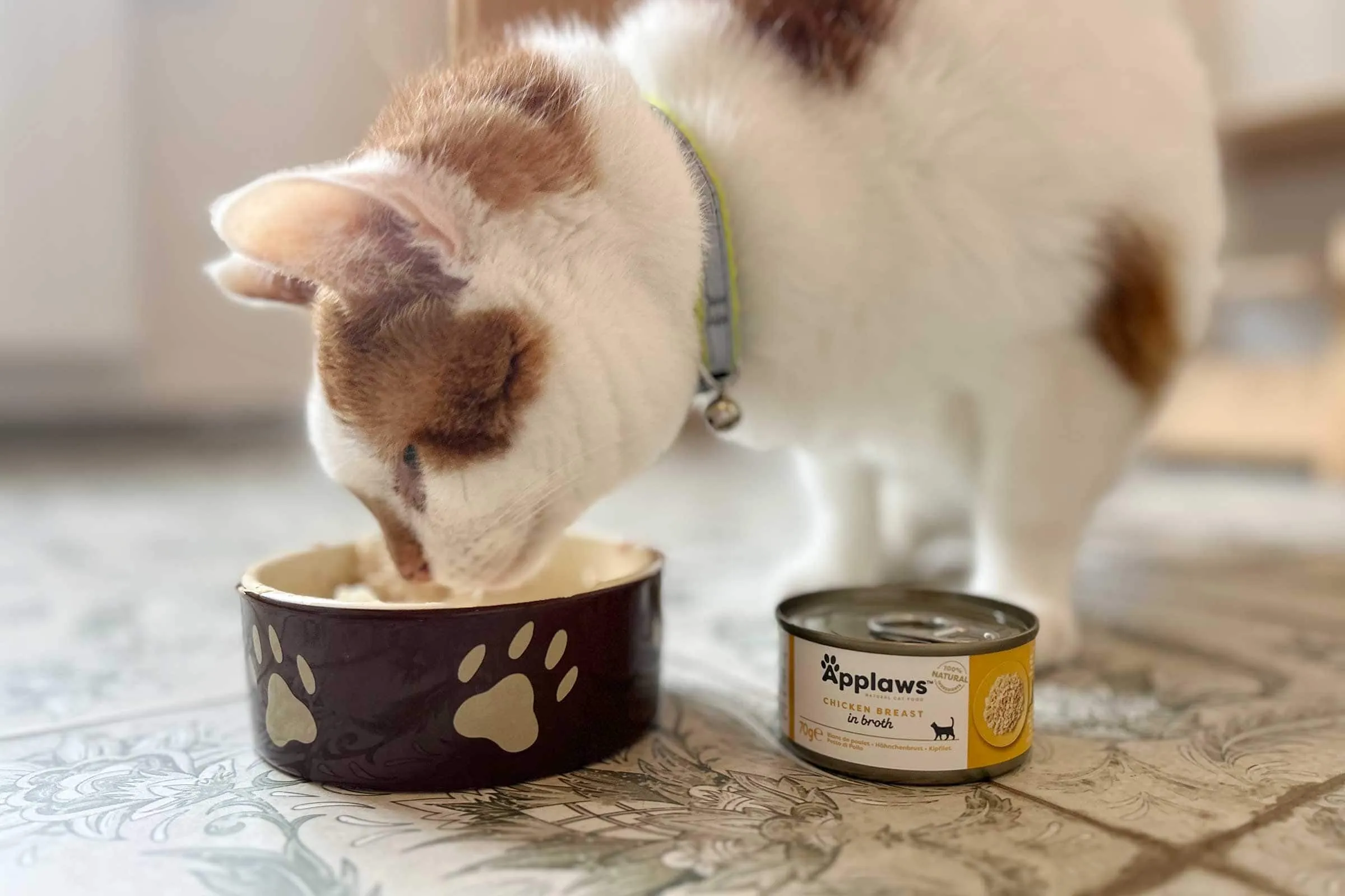 Applaws Hühnerbrust in Brühe, eine Proteinquelle für Katzen