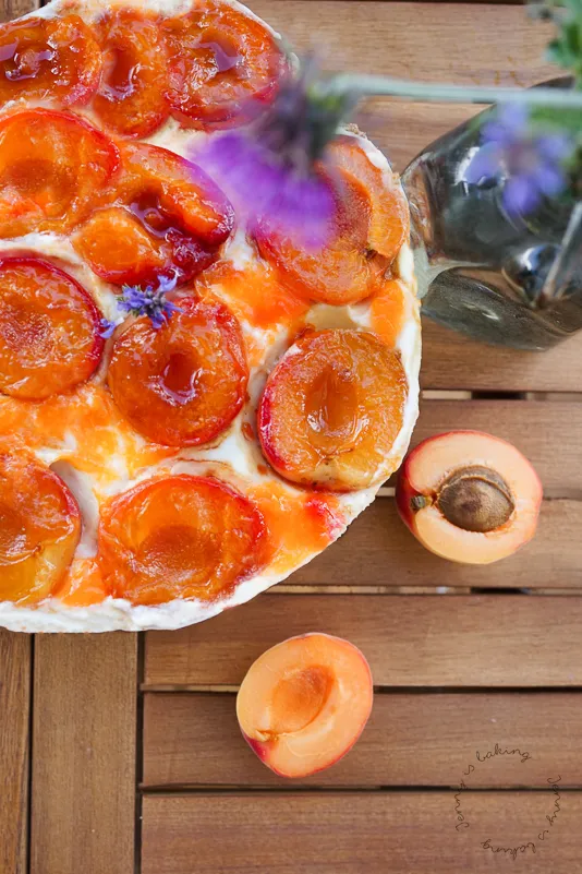 Aprikosen-Brezel-Torte mit frischen Aprikosen