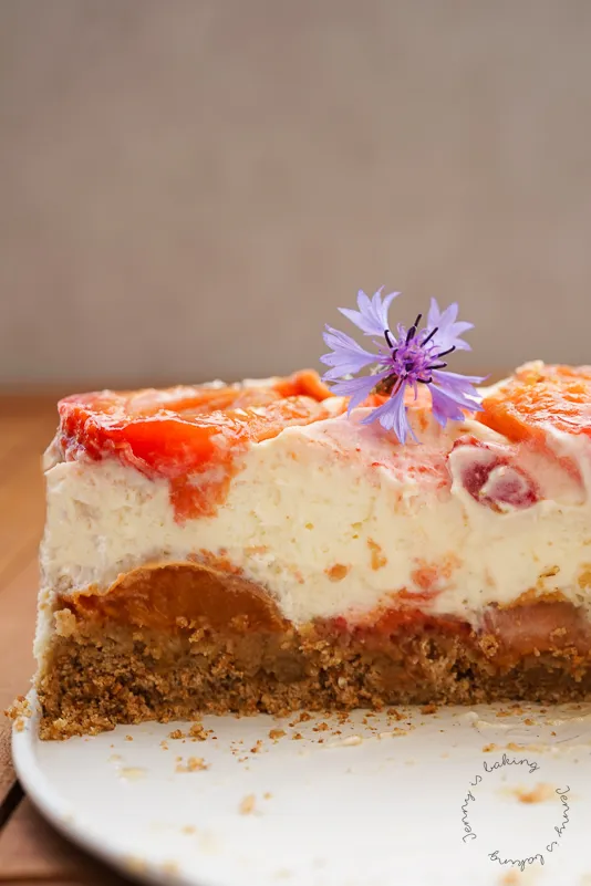 Aprikosen-Brezel-Torte von oben