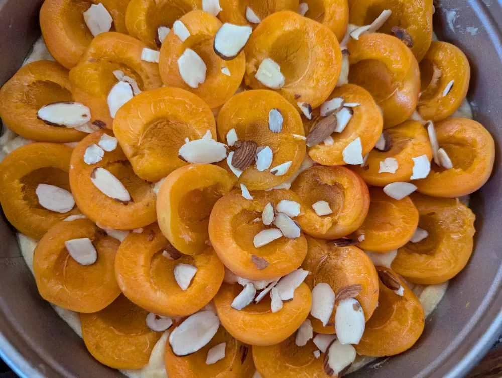 Aprikosen Marzipan Geburtstagskuchen mit Mandeln