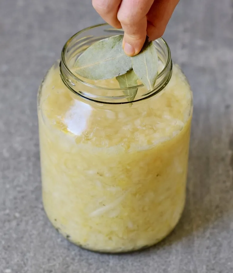 Aromatische Lorbeerblätter werden als Gewürz zu Sauerkraut in ein Einmachglas hinzugefügt