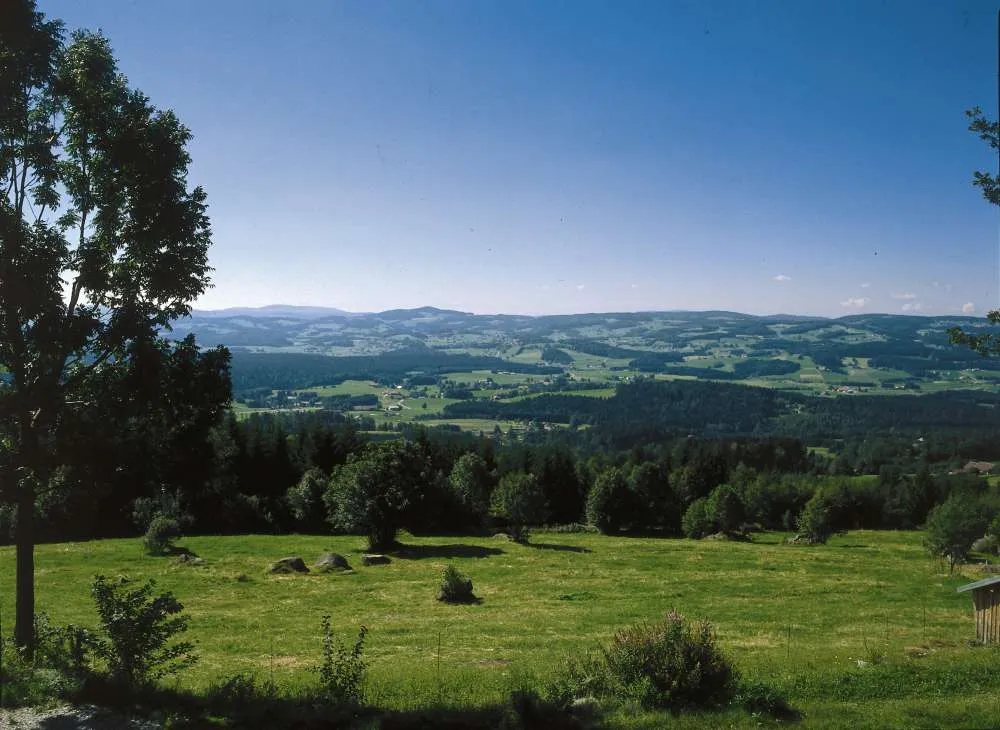 Atemberaubender Panoramablick vom Berghaus Oberleitner ins Tal