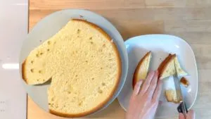 Aus dem unteren Teil (unterm Kinn) wird das Ohr dreieckig herausgeschnitten - Mamaskind.de