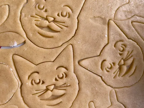 Ausgestochene Plätzchen in Katzenform, bereit zum Dekorieren, hergestellt mit kreativen Keksausstechern.