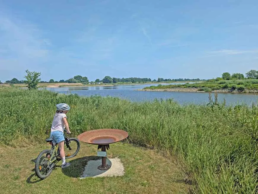 Auswahl an Bambusfahrrädern zum Ausleihen im Biohotel