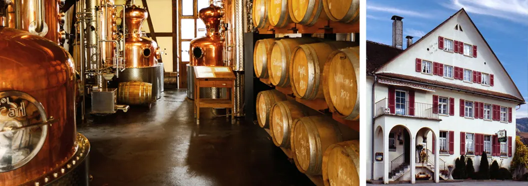 Auswahl an Prinz &quot;Alte Sorten&quot; Obstbränden und Likören in verschiedenen Flaschen, die die reiche Vielfalt der Brennerei Prinz widerspiegeln.