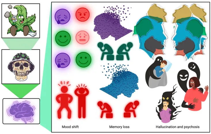 Auswirkungen langfristiger Spekulation mit Kryptowährungen auf das Anlegerverhalten