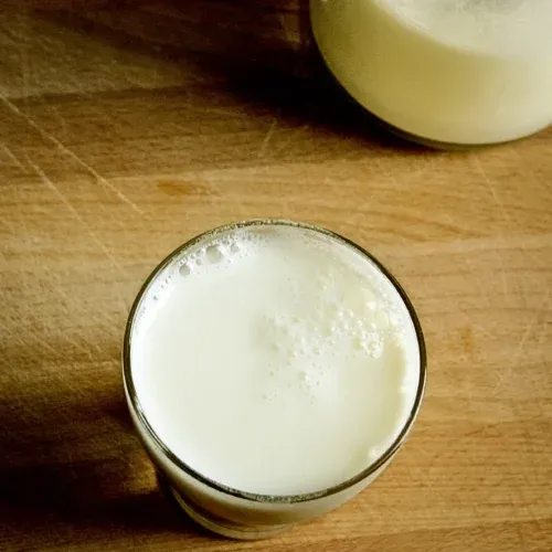 Ayran türkisches Joghurtgetränk