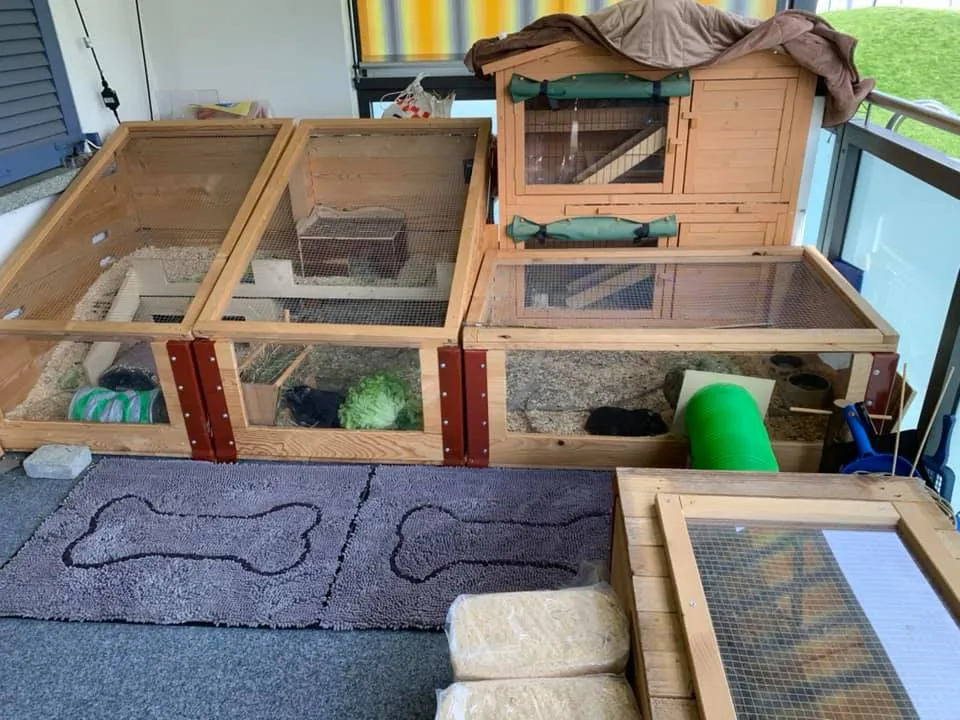 Balkongehege für Meerschweinchen mit ausreichend Schatten und Absturzsicherung