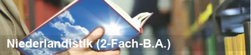Banner der Niederlandistik an der Universität Duisburg-Essen