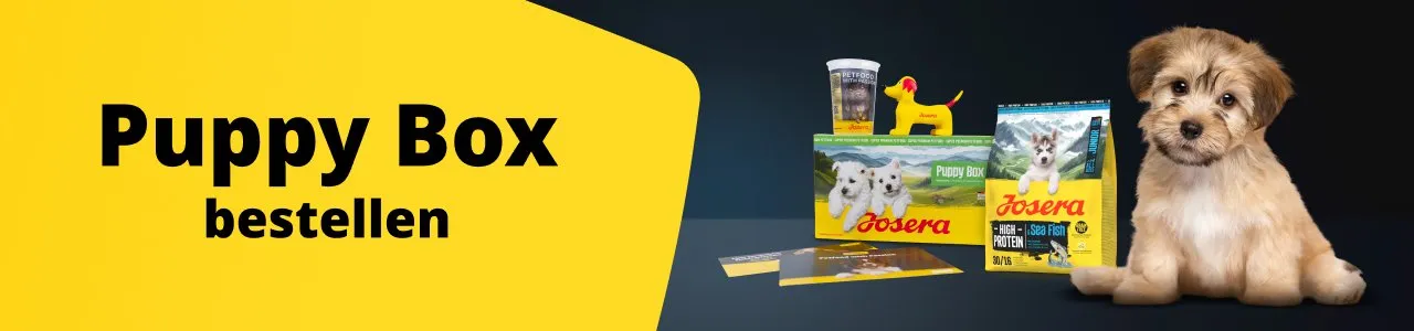 Bannerbild der Josera Puppy Box für Züchter: Ihr kostenloses Welpenstarterpaket