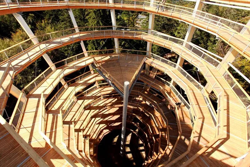 Baumwipfelpfad Bad Wildbad: Ein unvergessliches Erlebnis in luftiger Höhe