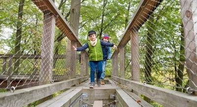 Baumwipfelpfad Rügen: Atemberaubende Ausblicke über den Buchenwald und das Meer