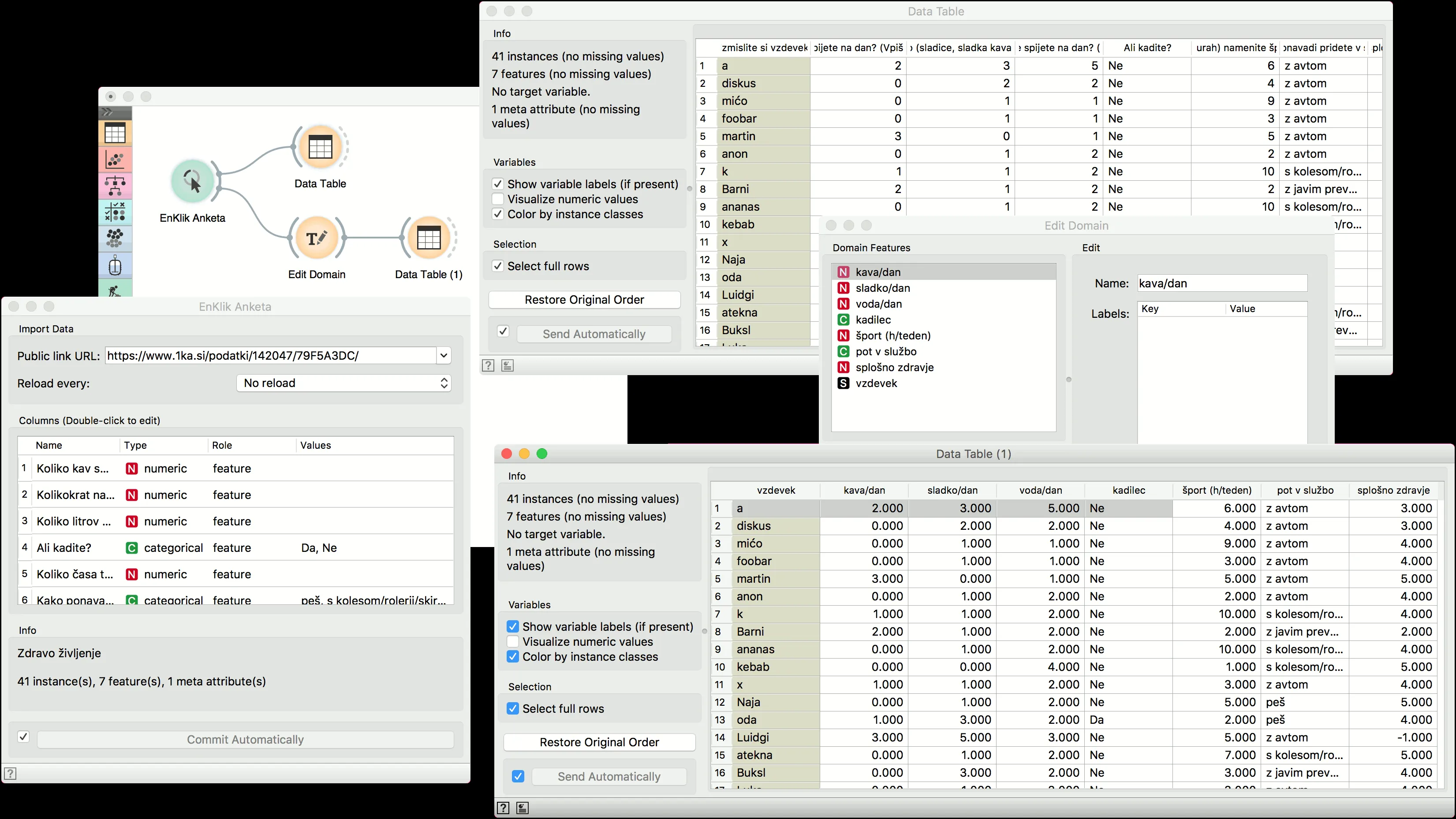 Beispiel der Datenbereinigung und verkürzten Attributnamen mit Docs Anketa