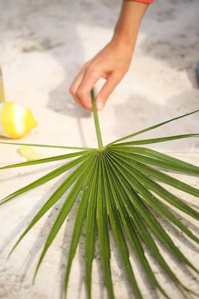 Belebender Ingwer-Apfel-Aperitif, stilvoll serviert für besondere Anlässe