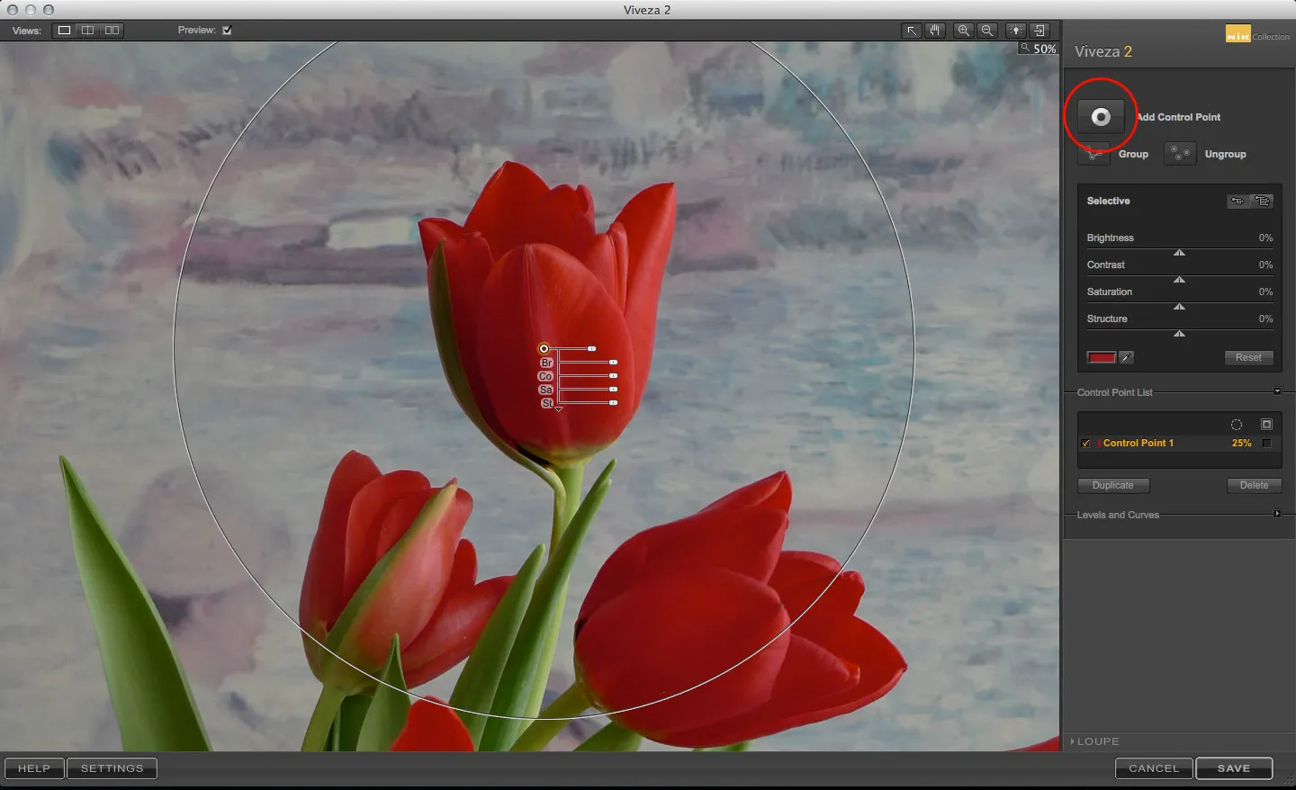 Benutzeroberfläche von Viveza 2 in Photoshop mit einem Control Point auf einer Tulpe und den Anpassungsreglern.