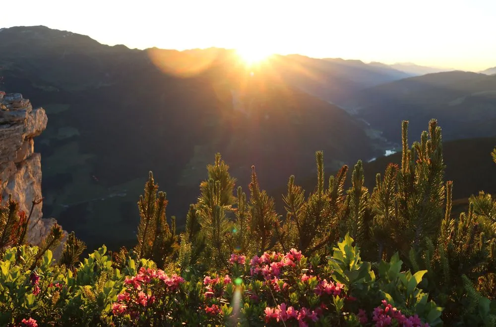 Bergpfad im Morgengrauen