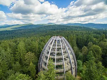 Besucher auf dem Baumwipfelpfad im Nationalpark Bayerischer Wald genießen die Natur